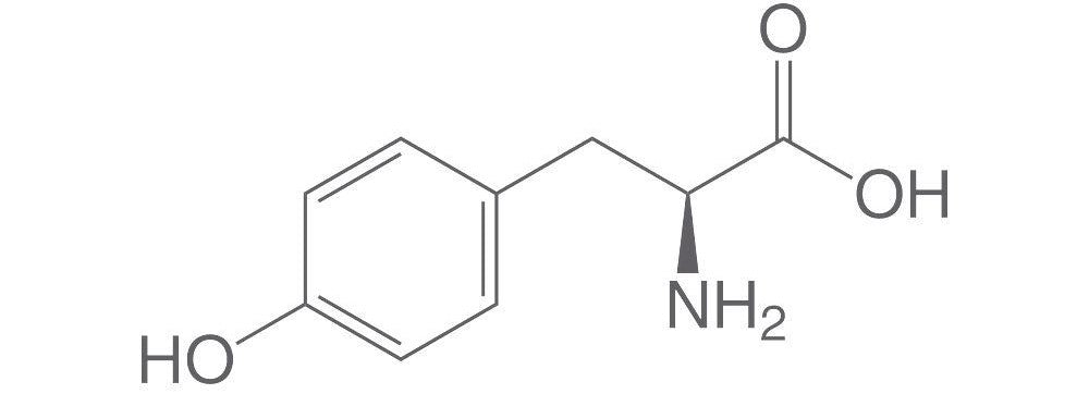 L-tyrosine werking voor ADD en ADHD