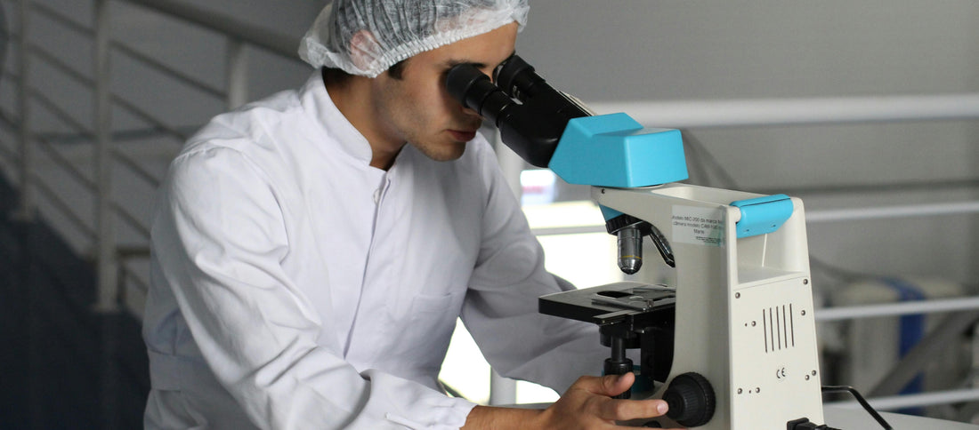 Gummies VS tabletten: waarbij is de opname beter?