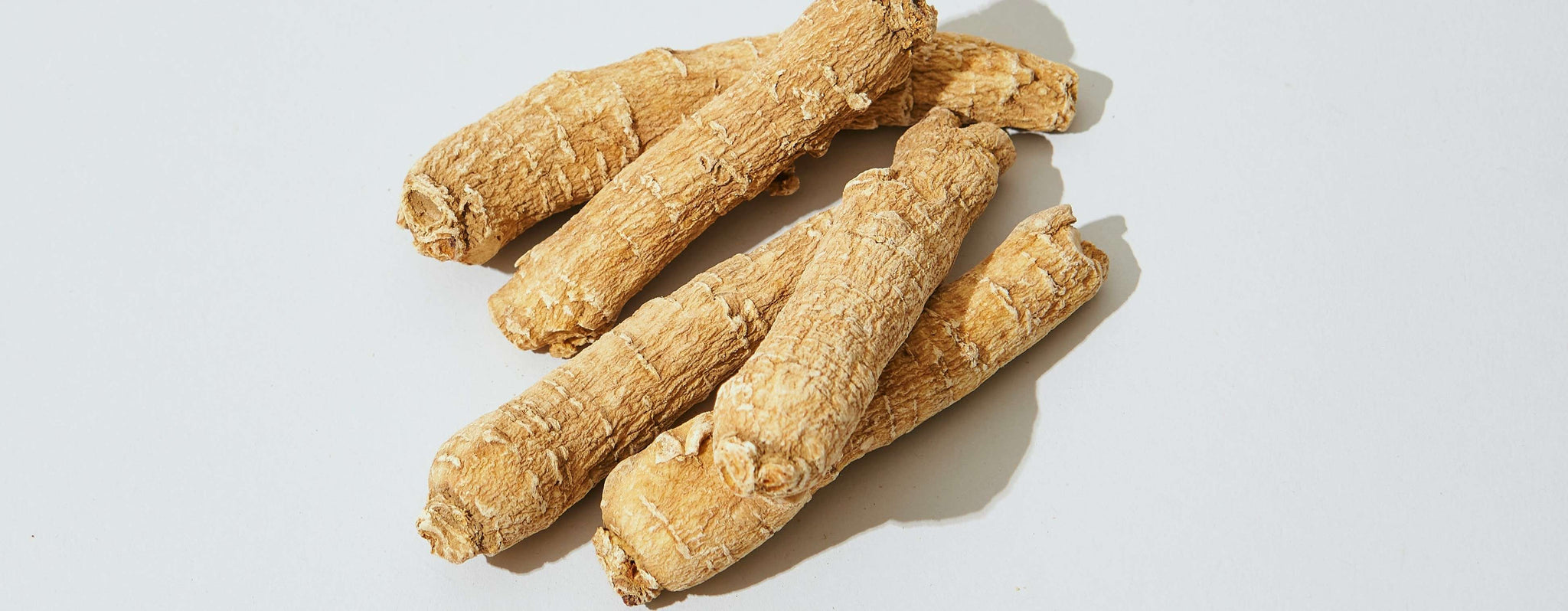 Wat is ginseng?