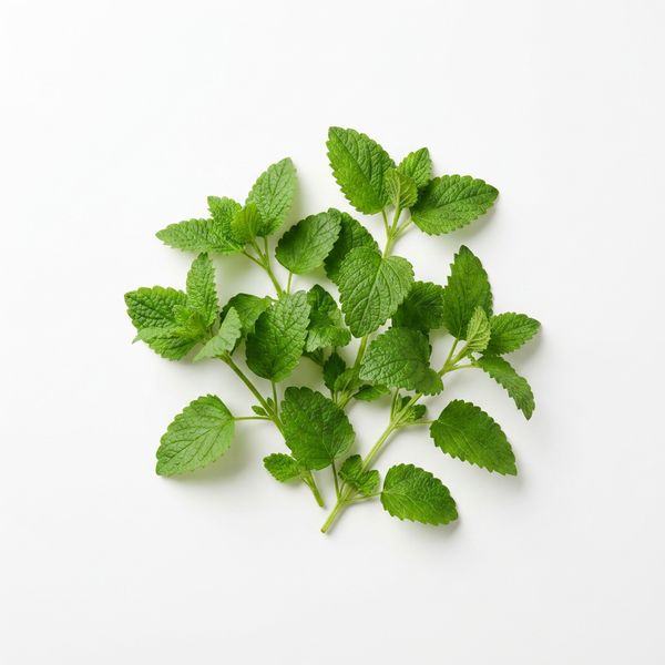Lemon balm (150 mg)