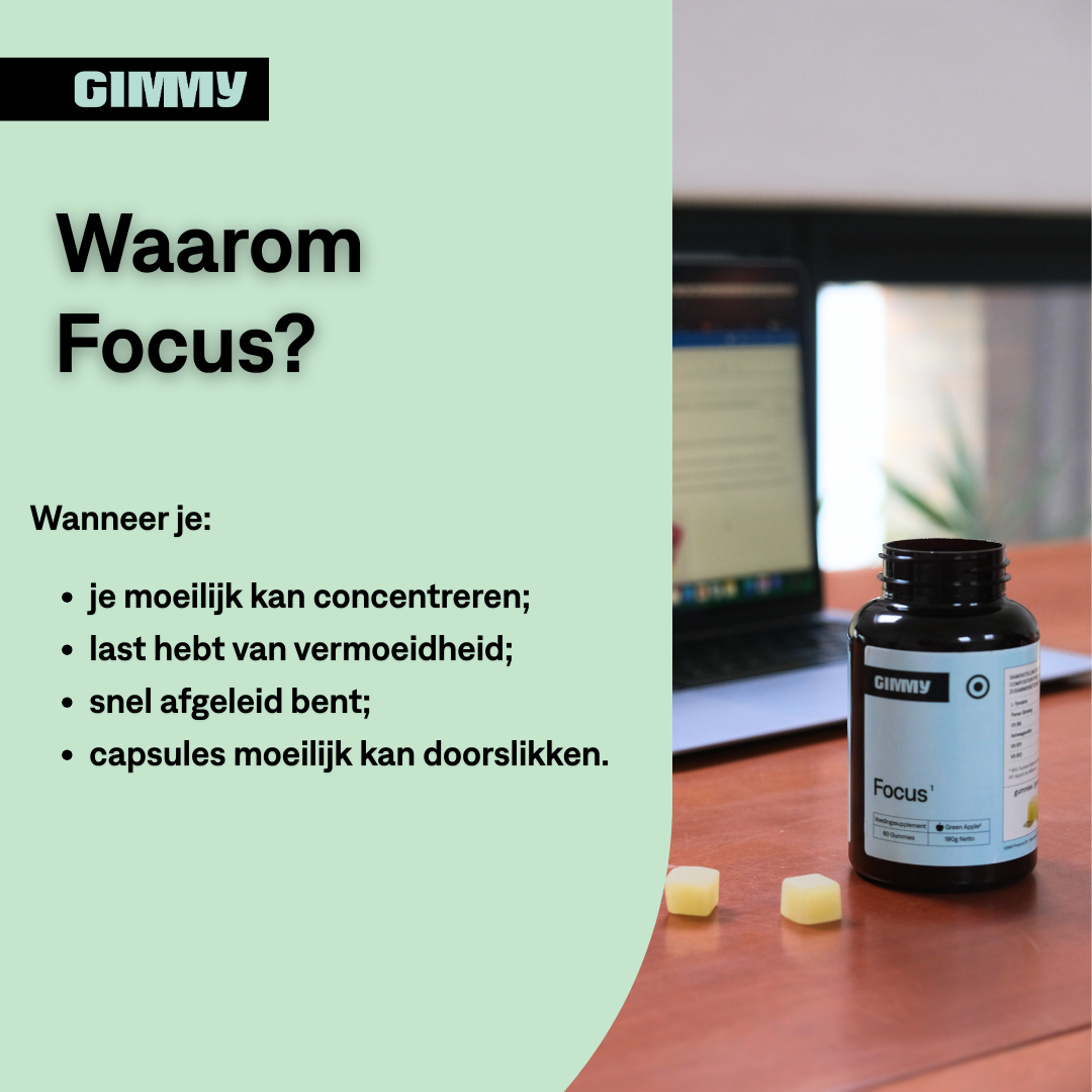 GIMMY Focus