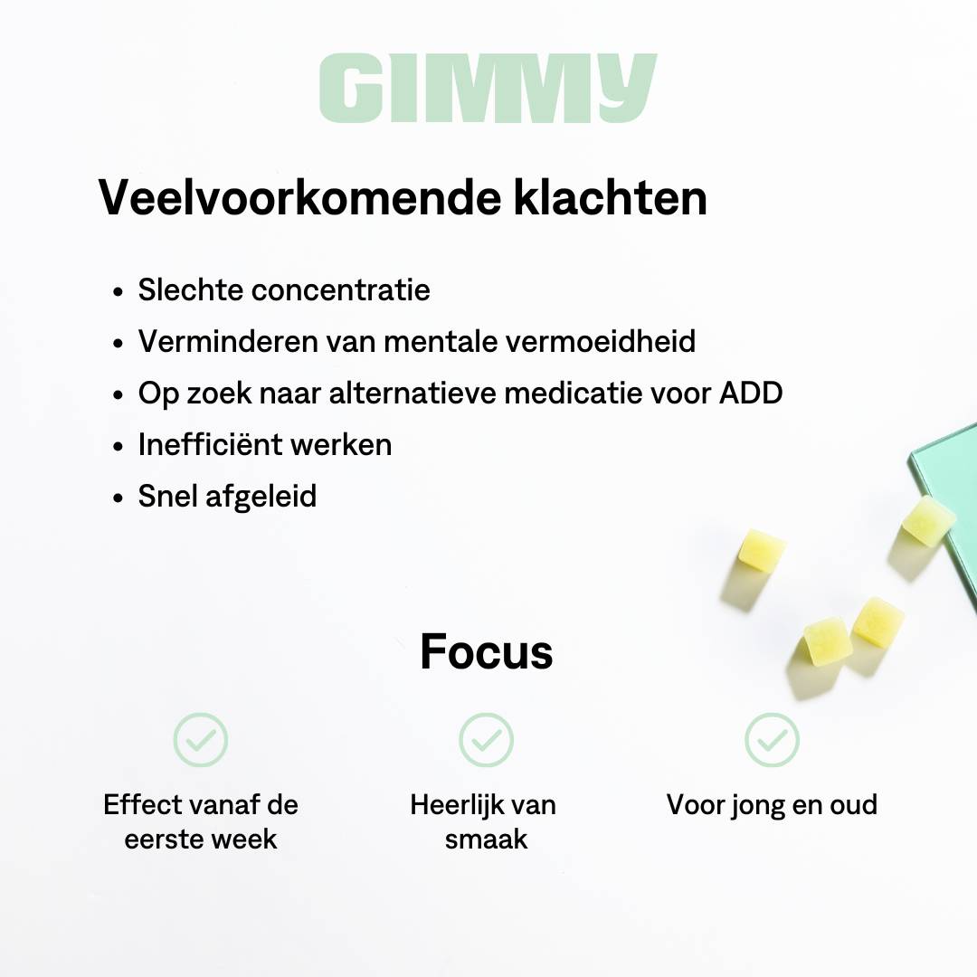 GIMMY Focus