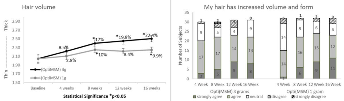 MSM (méthylsulfonylméthane) extra